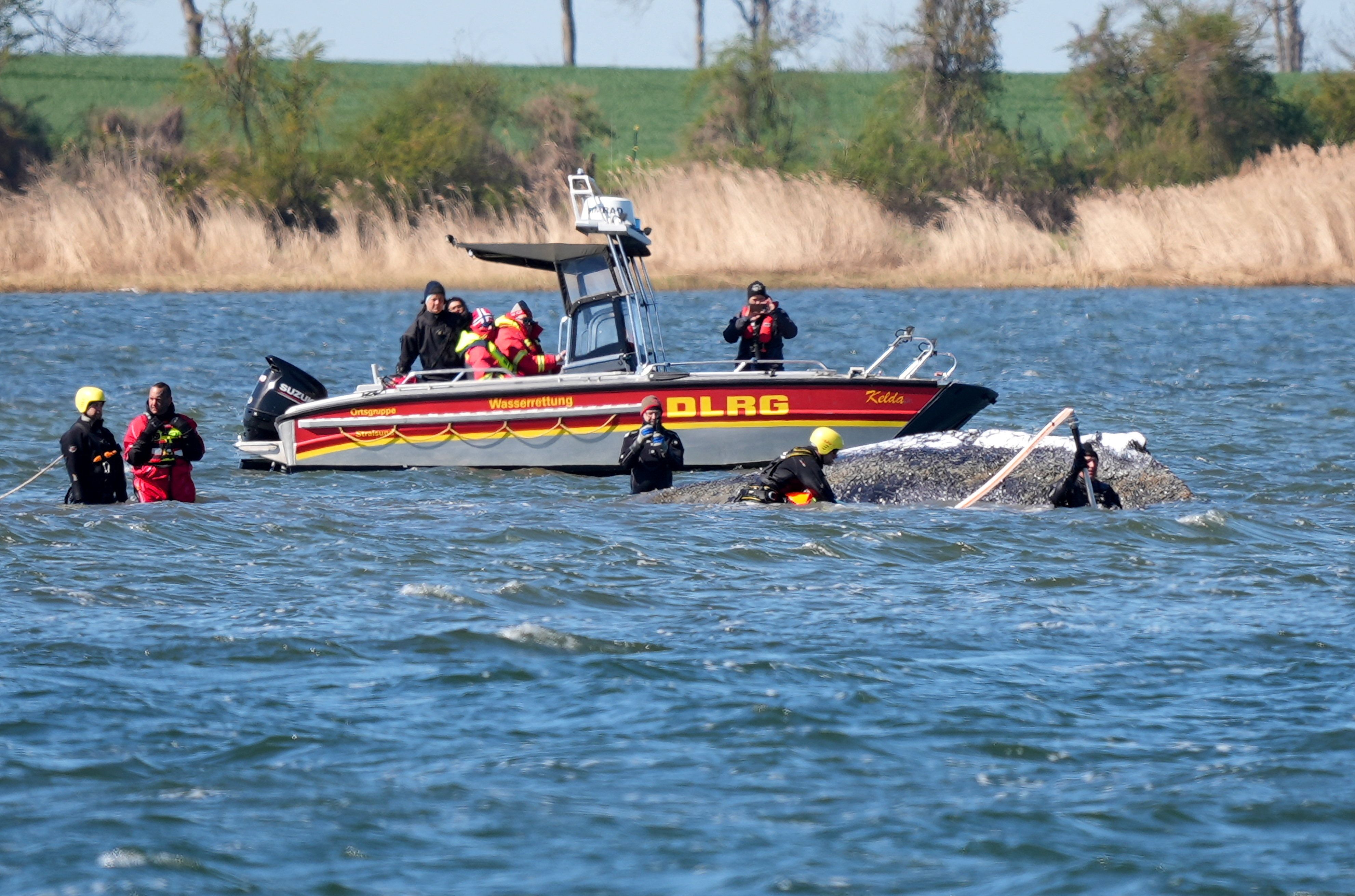 Die Retter kämpfen um 