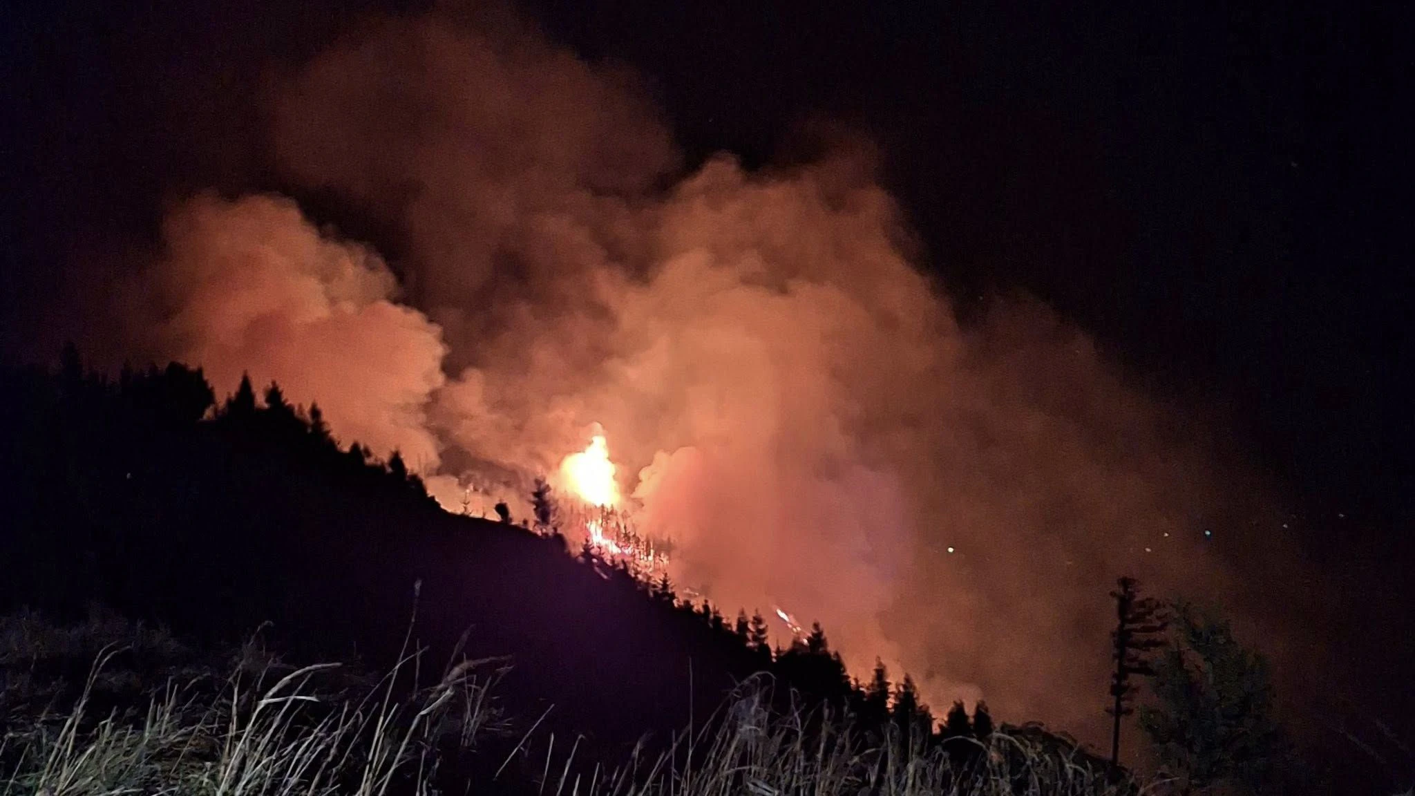 Heute.at - Inferno bei Waldbrand – Behörden warnen jetzt Bürger