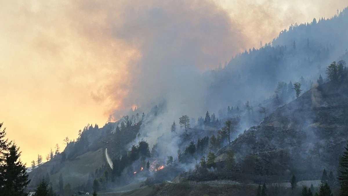 Waldbrand Lesachtal