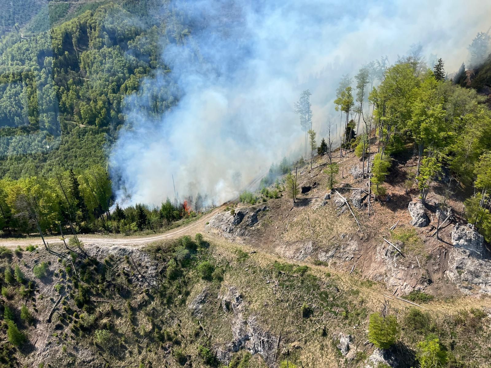 Mehrere Waldbrände wüten derzeit in Österreich – so auch in der Steiermark.
