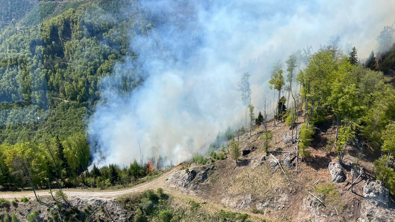 Ein großflächiger Waldbrand bei Graz sorgt seit Samstag für einen massiven Feuerwehreinsatz: Starker Wind treibt die Flammen weiter an, bereits bis zu 50 Hektar stehen in Brand.
