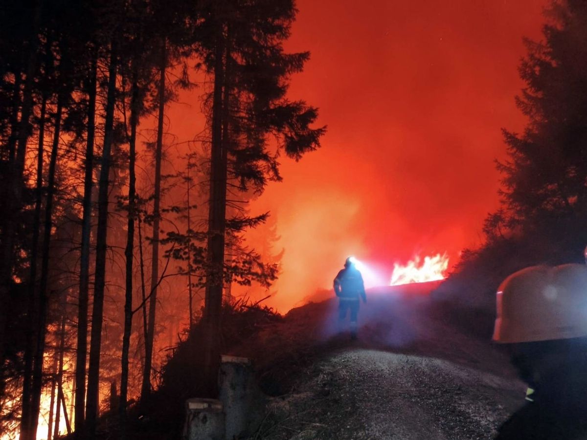 Waldbrand im Lesachtal.