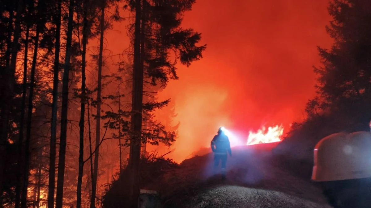 Waldbrand Lesachtal