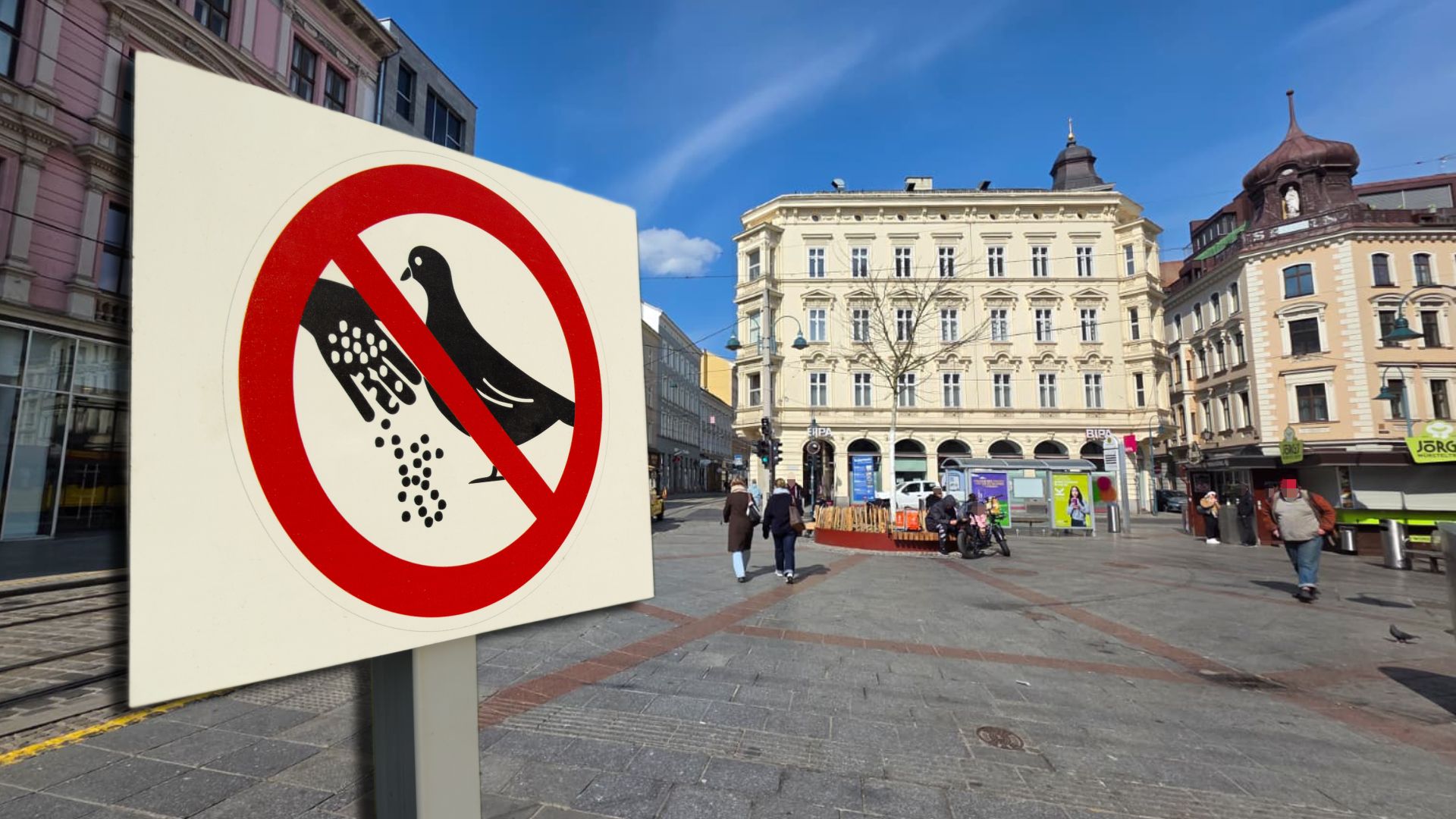 Die ÖVP brauchte in Linz zuletzt wieder ein Fütterungsverbot für Tauben ins Spiel. LinzPlus hält davon nicht viel. (Symbolbild)