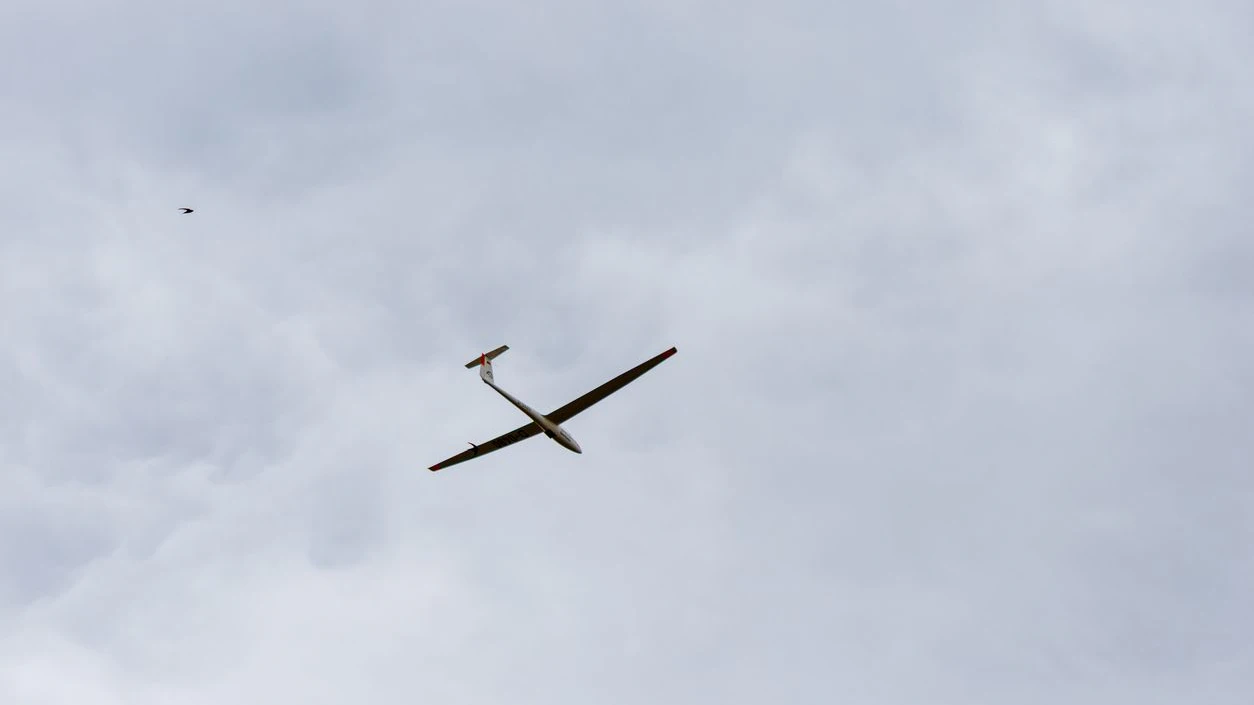 A glider soars through a cloudy sky, accompanied by a small bird in the distance.