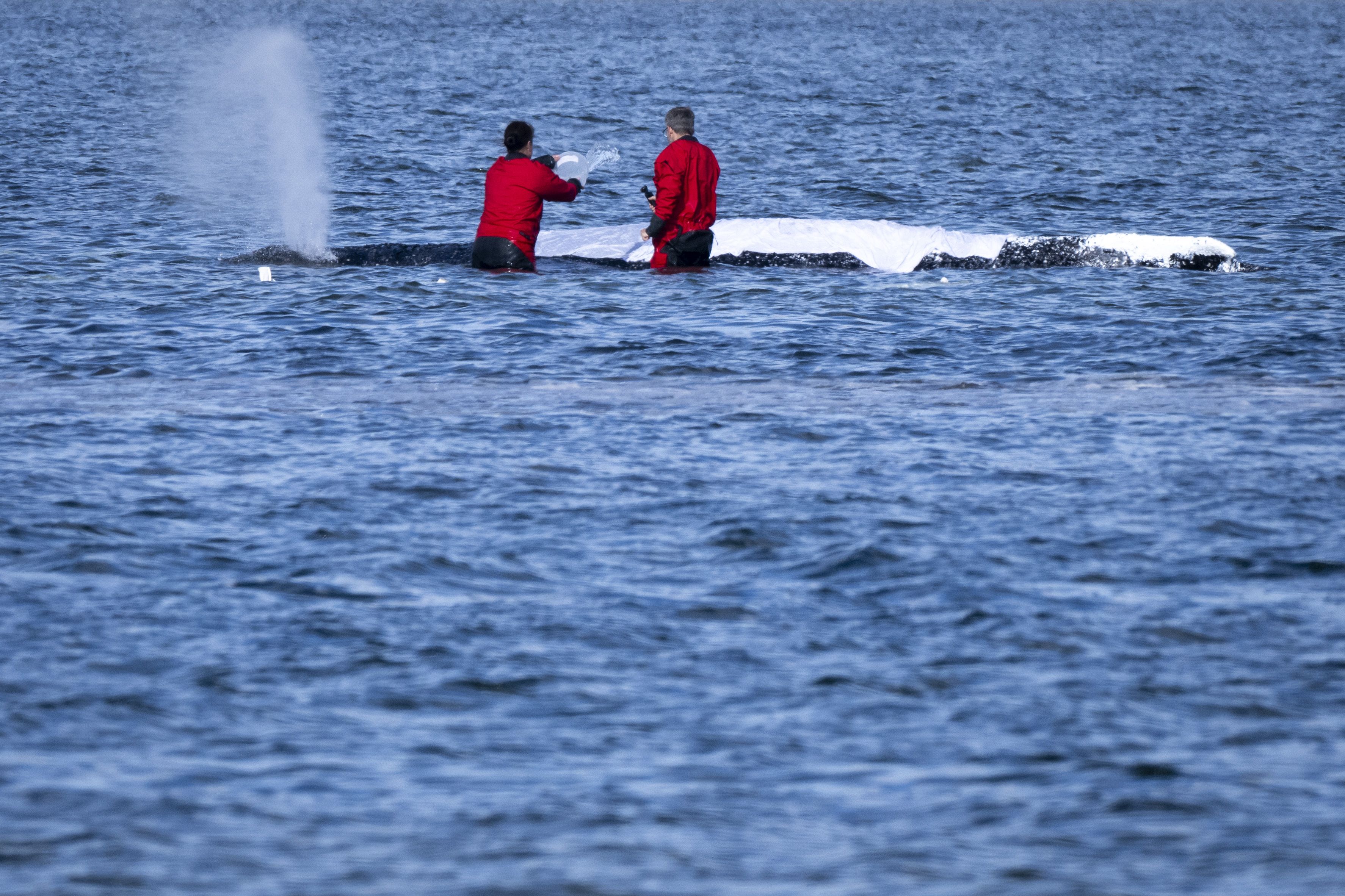 Auch am Montag kümmerten sich die Helfer wieder um 