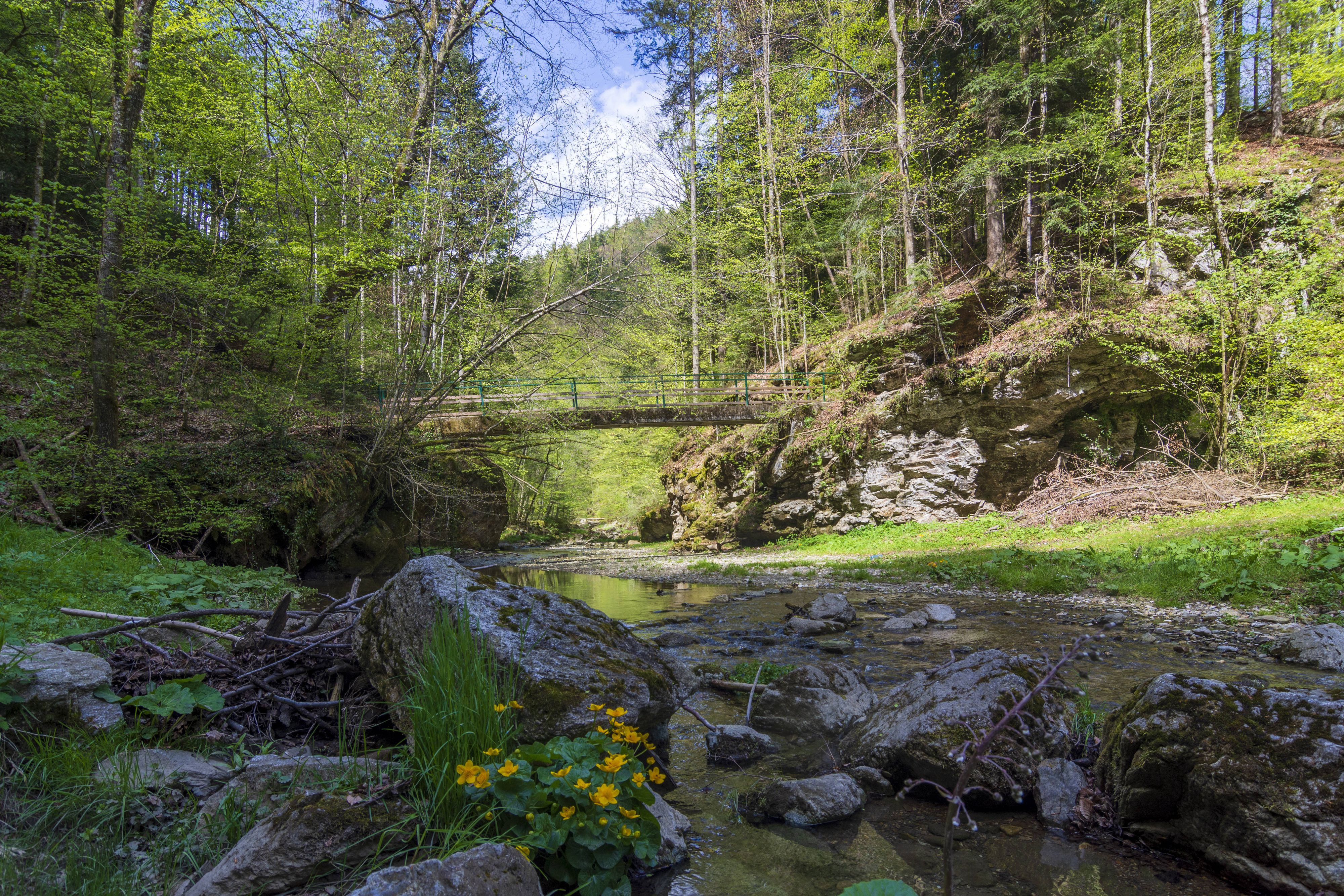 Die Frau verunglückte mitsamt ihrem Vierbeiner in der Raabklamm, nordwestlich von Weiz in der Steiermark. Die längste Klamm Österreichs ist ein beliebtes Ausflugsziel und mit Wegen erschlossen.