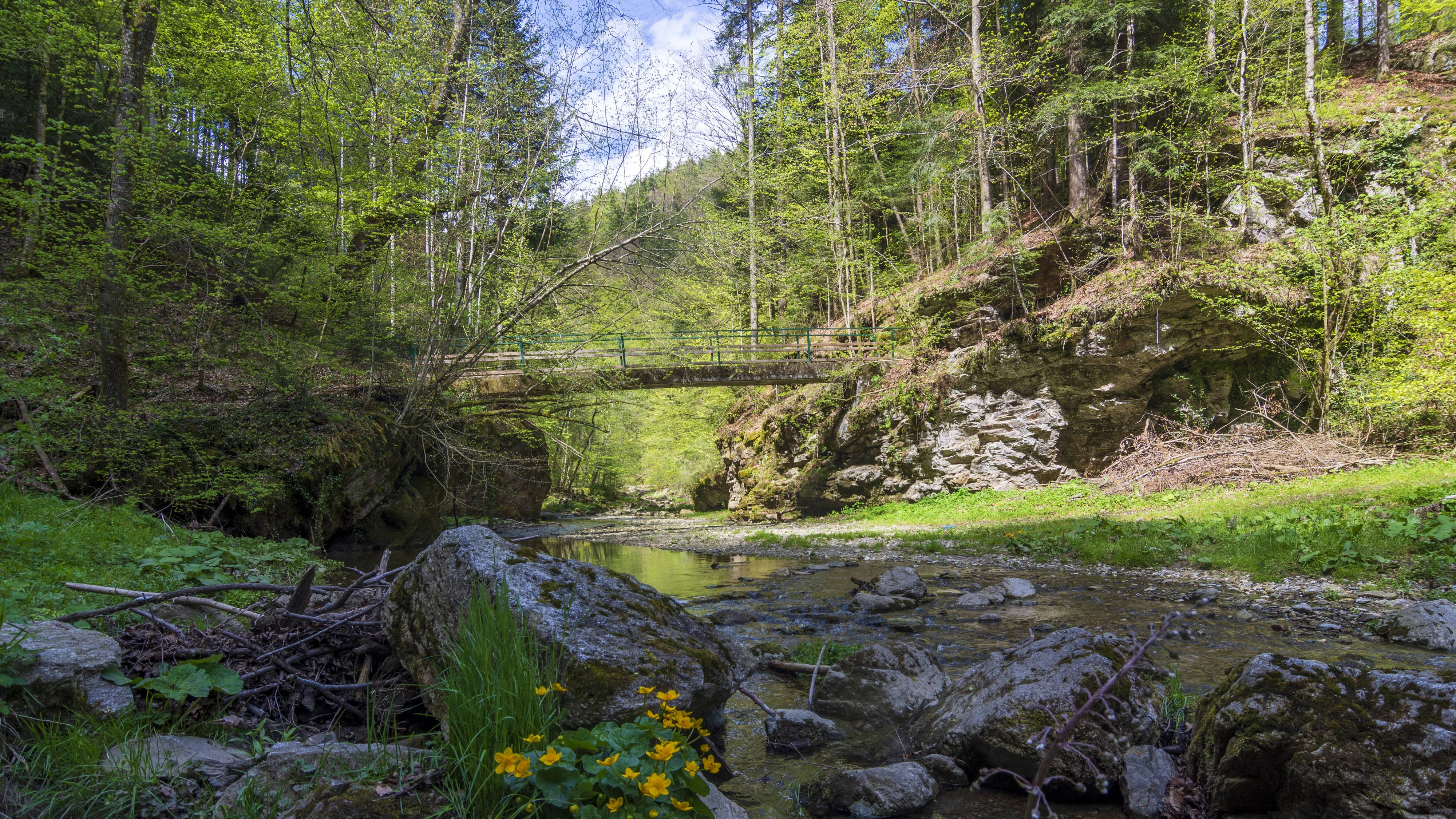 Die Frau verunglückte mitsamt ihrem Vierbeiner in der Raabklamm, nordwestlich von Weiz in der Steiermark. Die längste Klamm Österreichs ist ein beliebtes Ausflugsziel und mit Wegen erschlossen.