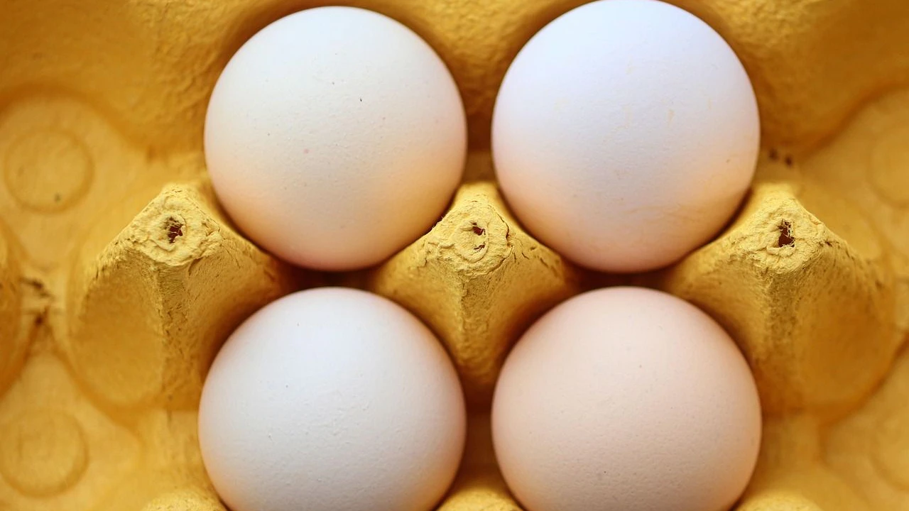 Heute.at - Eierkarton-Trick: Darum solltest du ihn umdrehen
