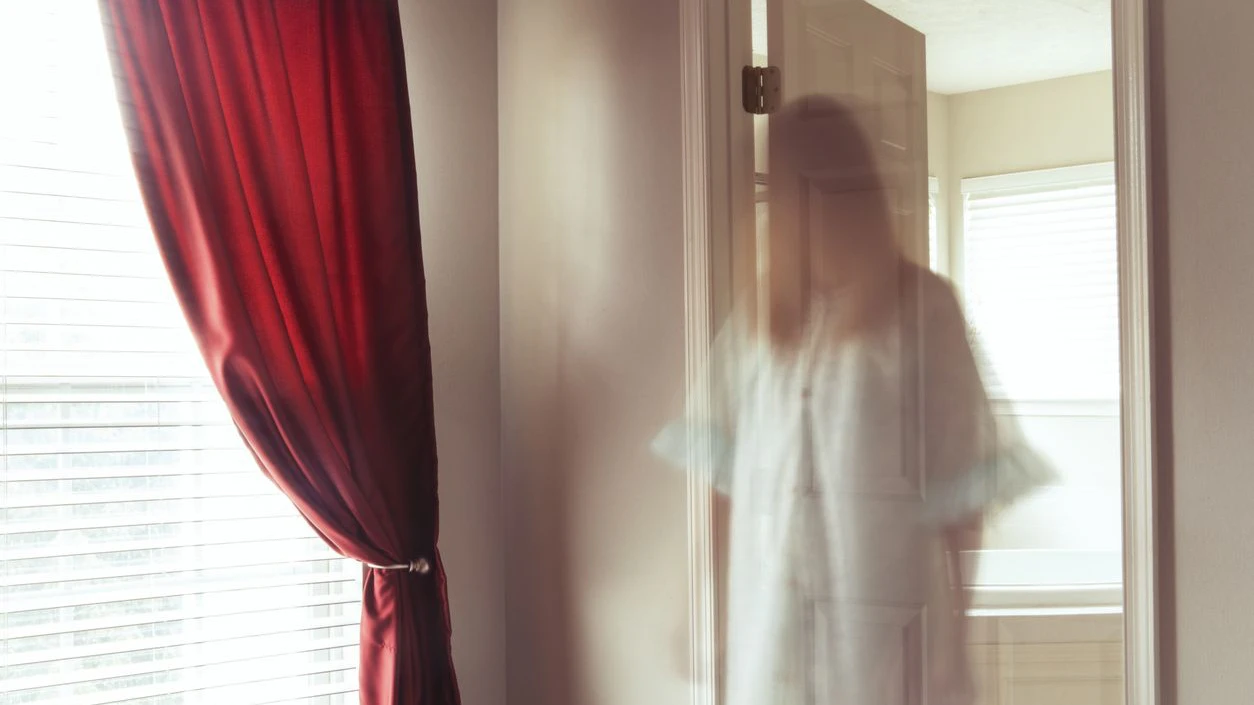A ghost of a female wondering though a room.