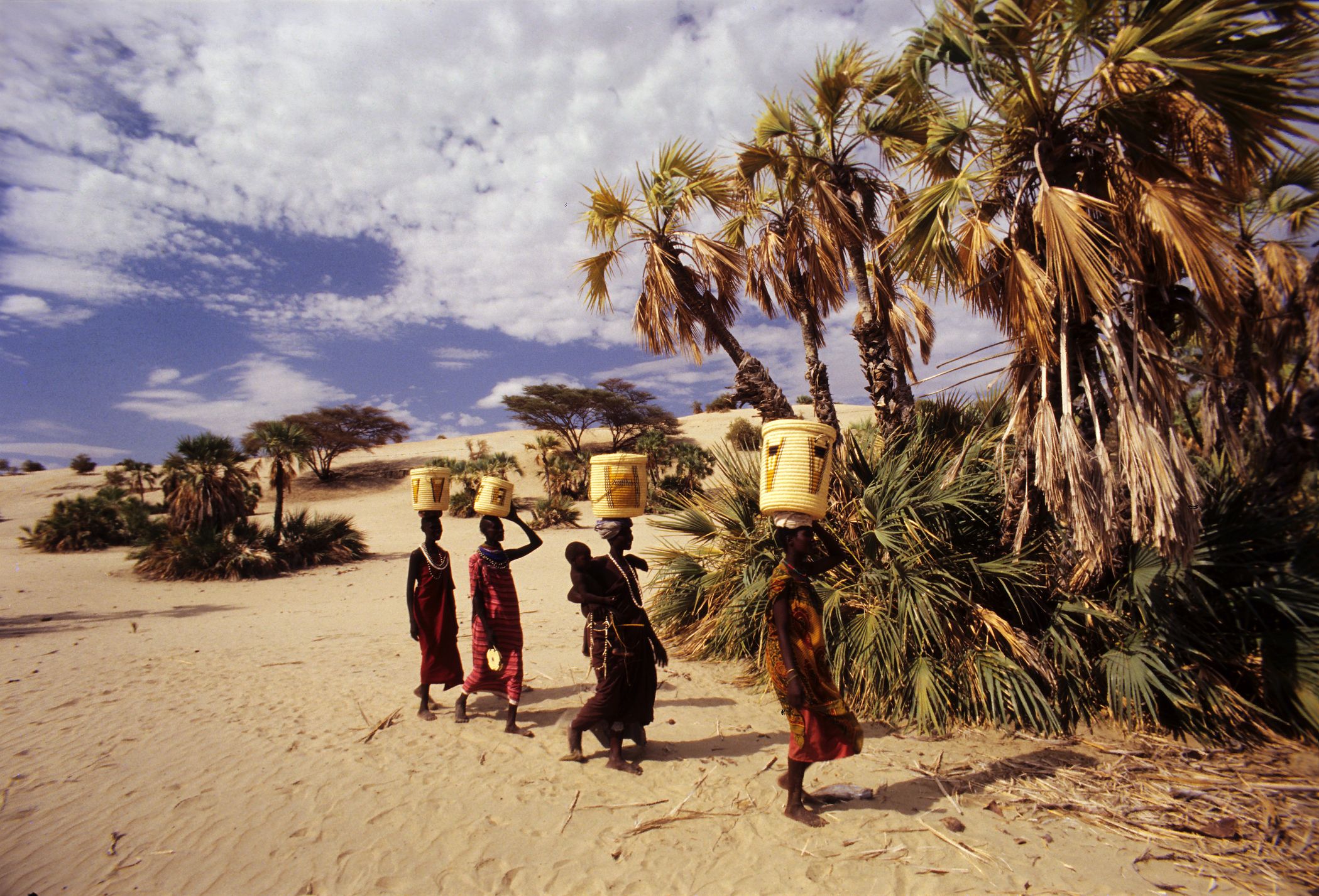 Eliye Springs (Kenia): In dieser Region wird Afrika einst zerbrechen.