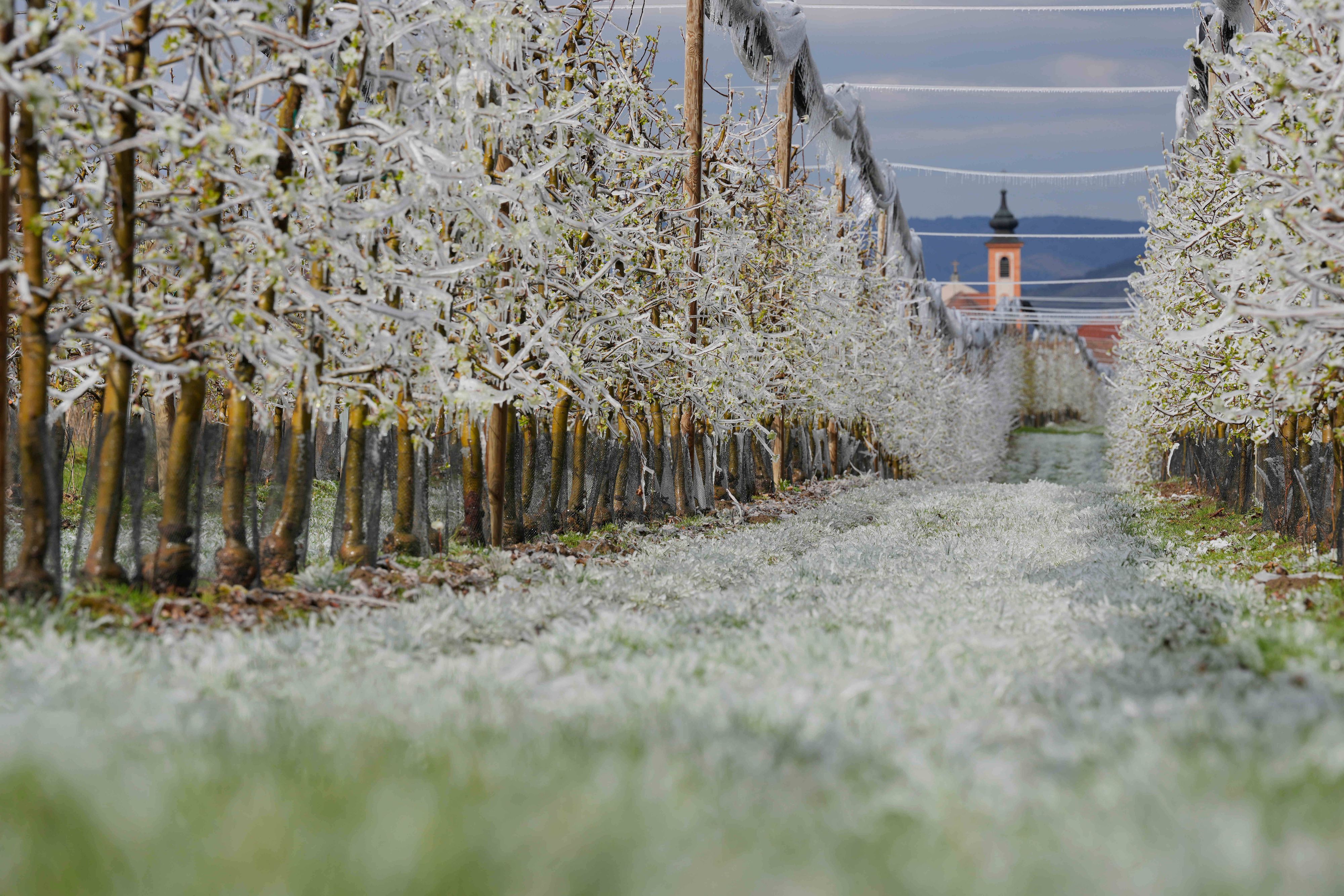 Heute.at - Aufgepasst – Meteorologe warnt vor Frost-Schock in Ö