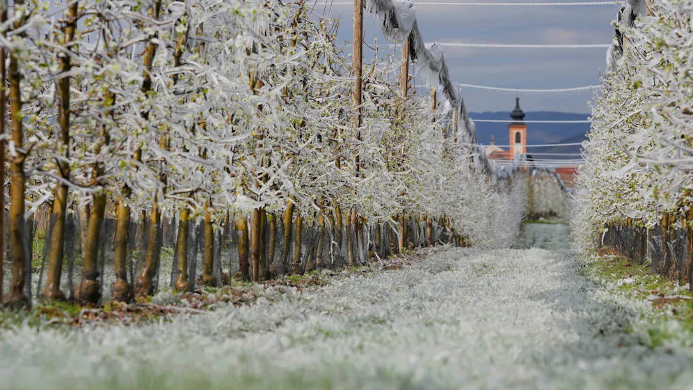 Heute.at - Aufgepasst – Meteorologe warnt vor Frost-Schock in Ö