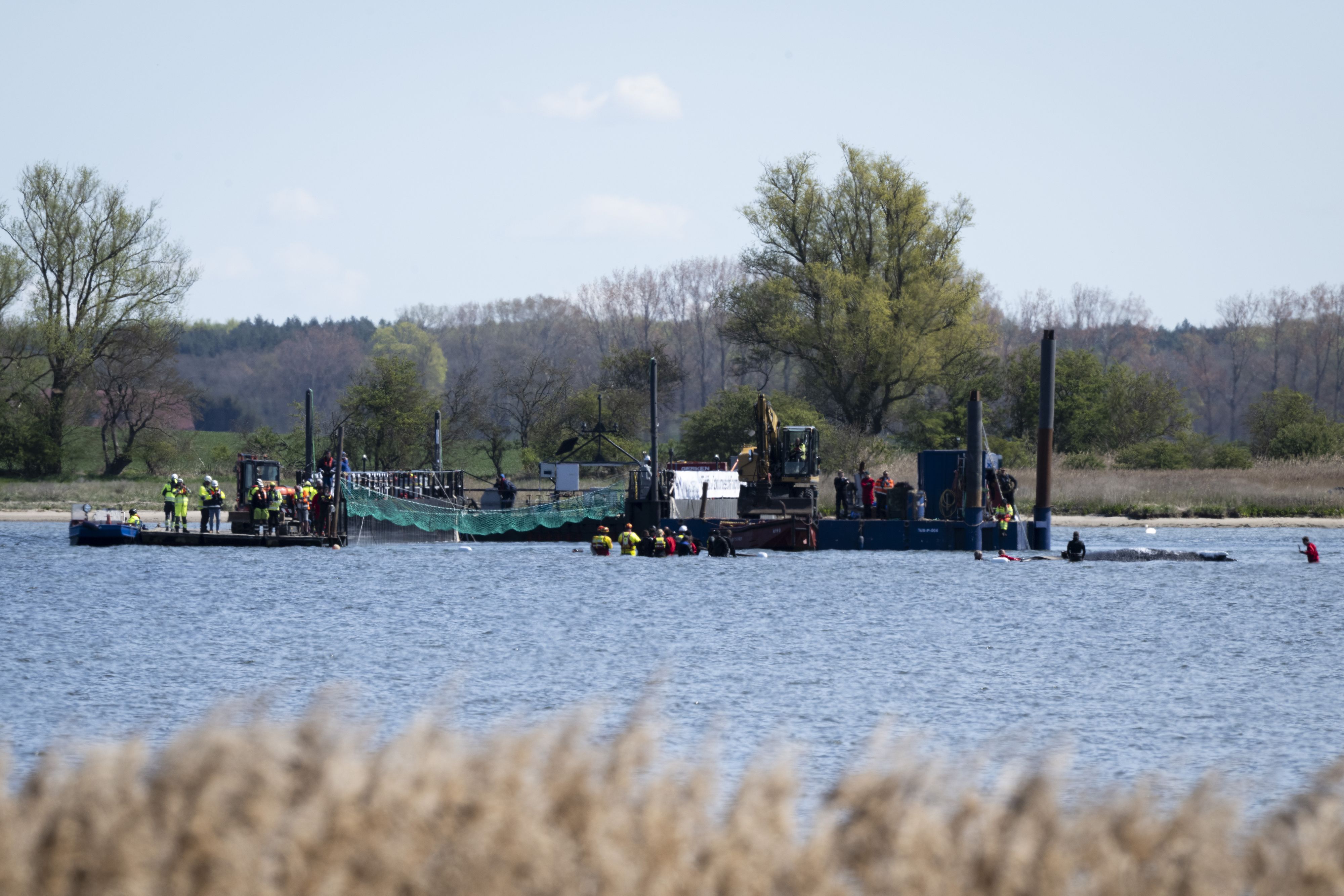 In dieser Barge soll 