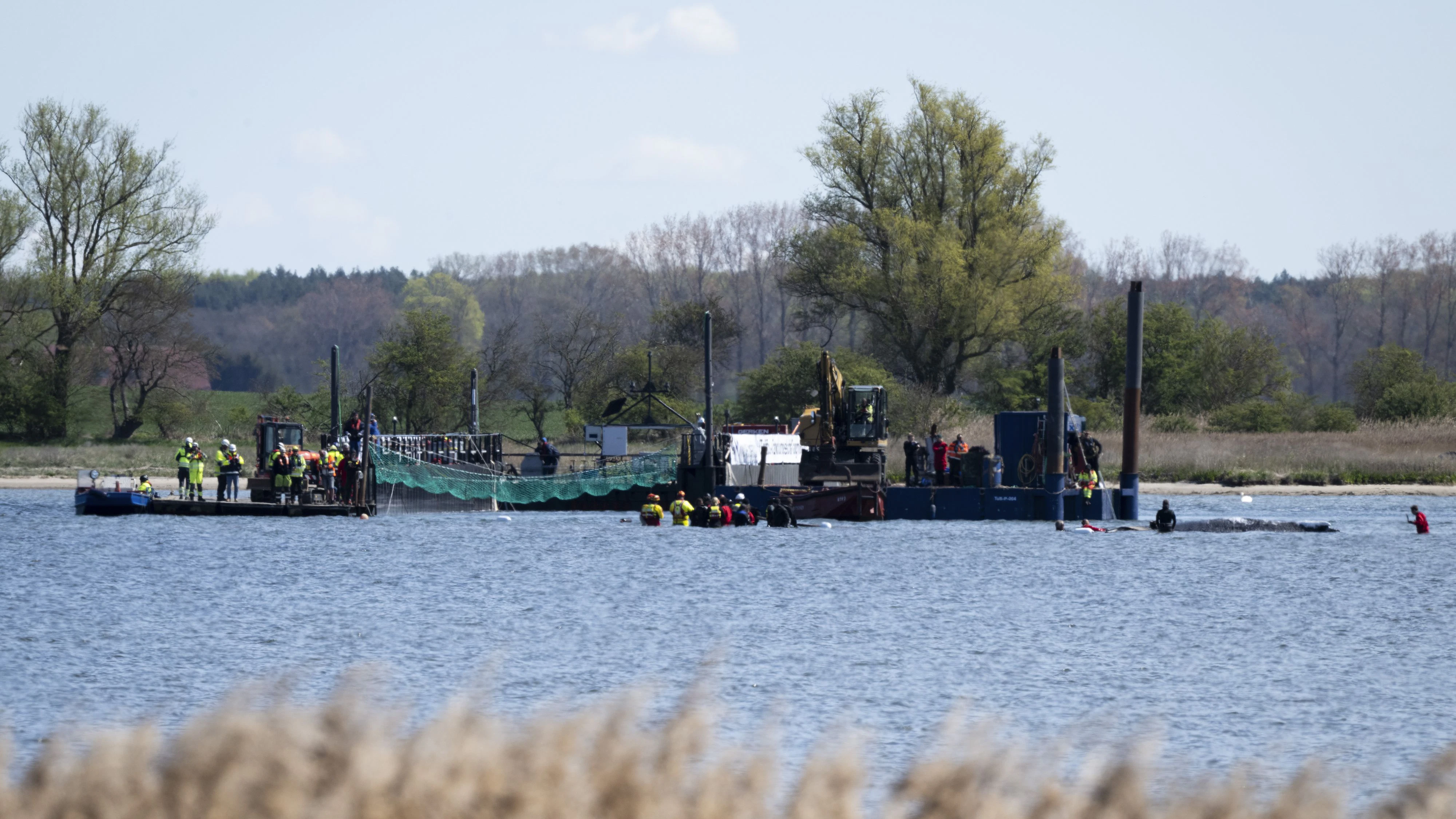 In dieser Barge soll "Timmy" transportiert werden.