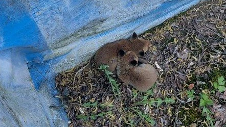 In dem leeren Pool ist ein denkbar schlechter Platz um groß zu werden. 