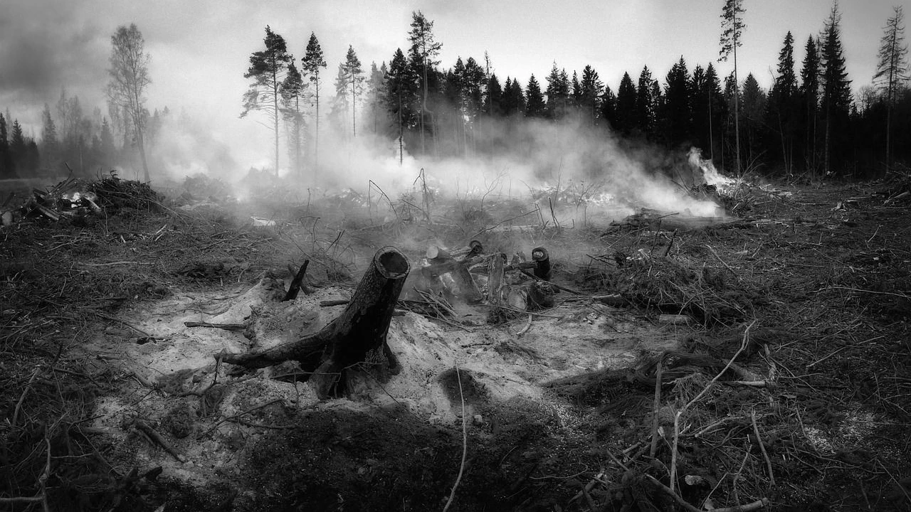 Heute.at - 2025 war Rekordjahr der Extreme in Europa