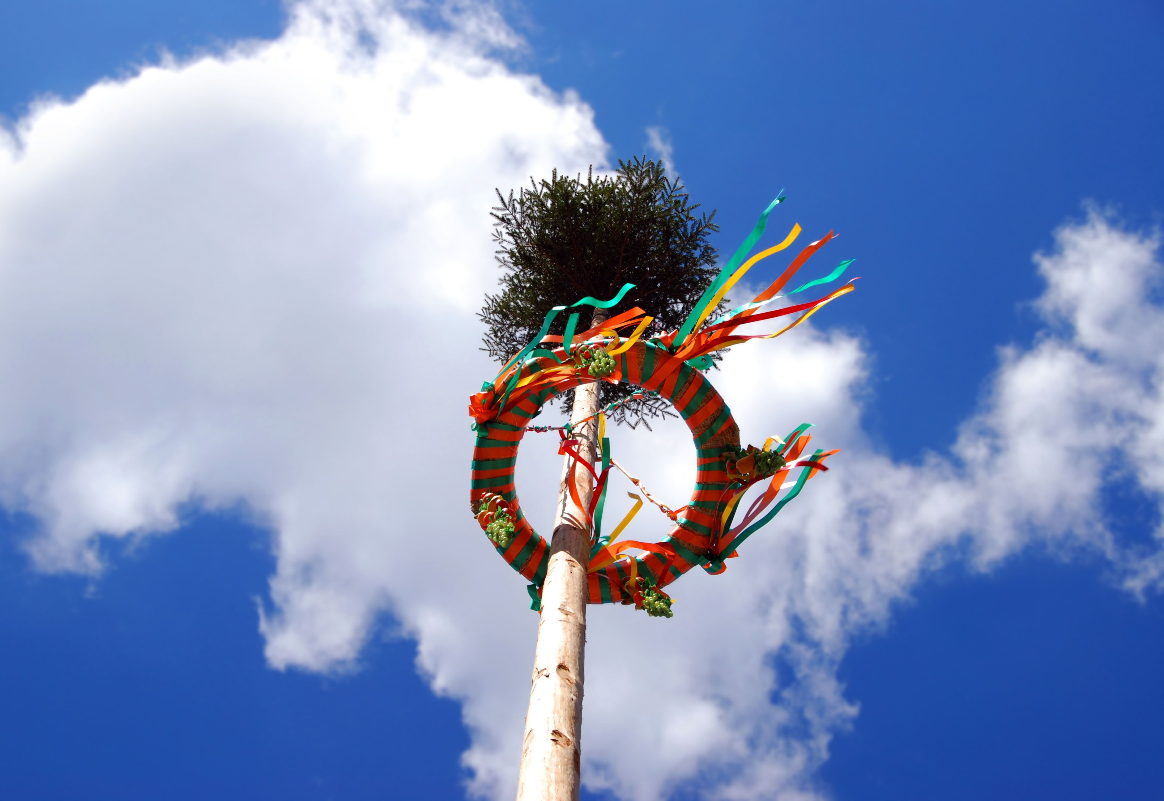 Erst, wenn der Maibaum steht, ist er sicher.
