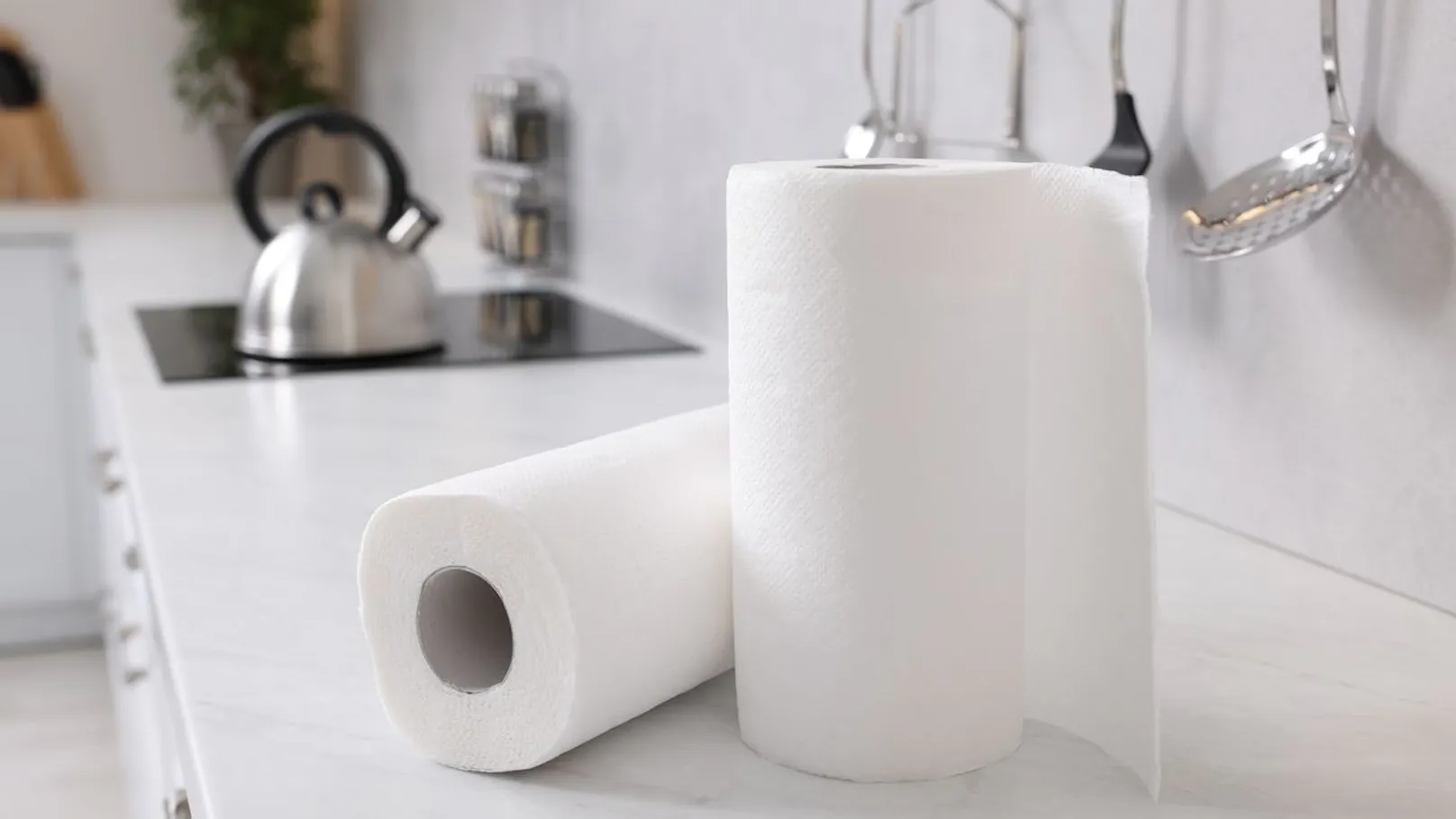 VKI-Test: Bisphenole in Recycling-Küchenrollen – Spitzenprodukte aus Frischzellstoff — image 2