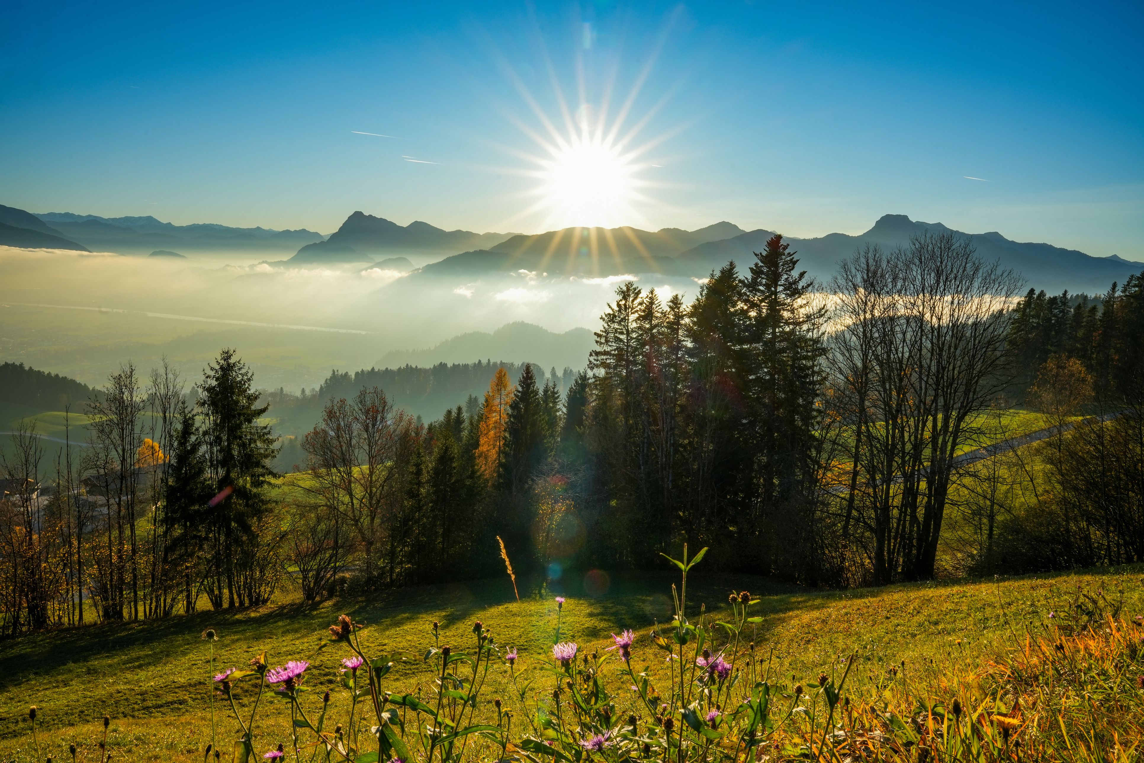 Heute.at - Hitze-Hammer! Temperaturen kratzen an 30-Grad-Marke