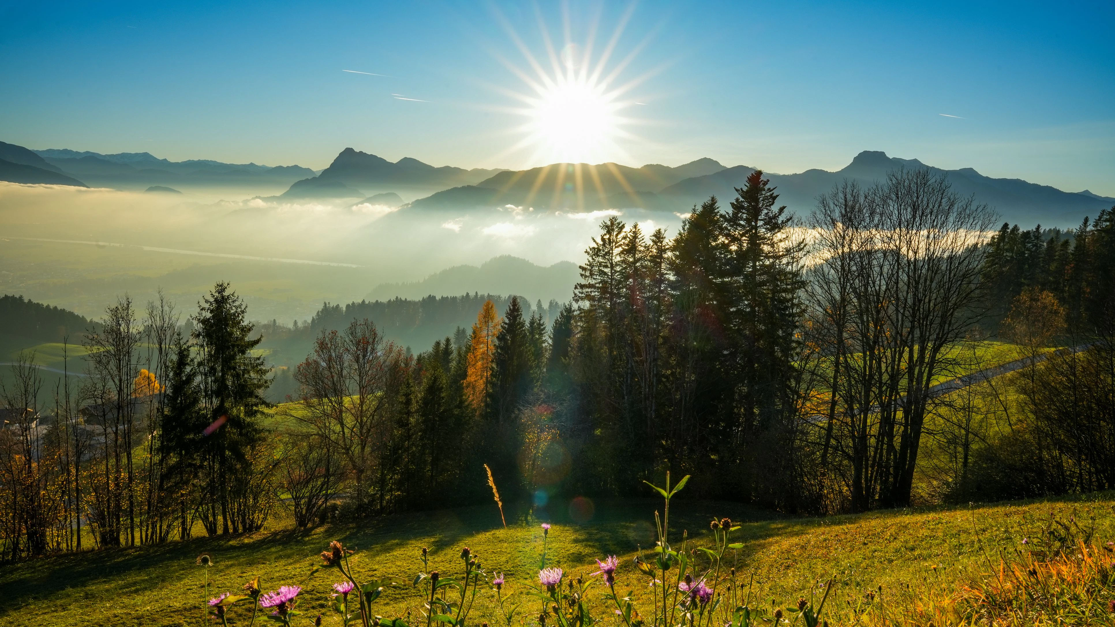 In den kommenden Tagen zeigt sich das Wetter in Österreich von seiner sonnigen Seite. (Symbolbild)