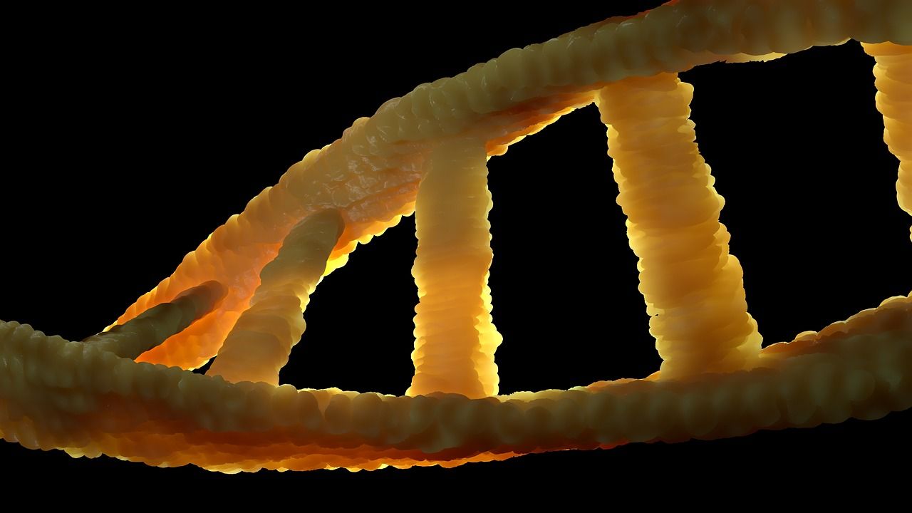 DNA-Doppelhelix