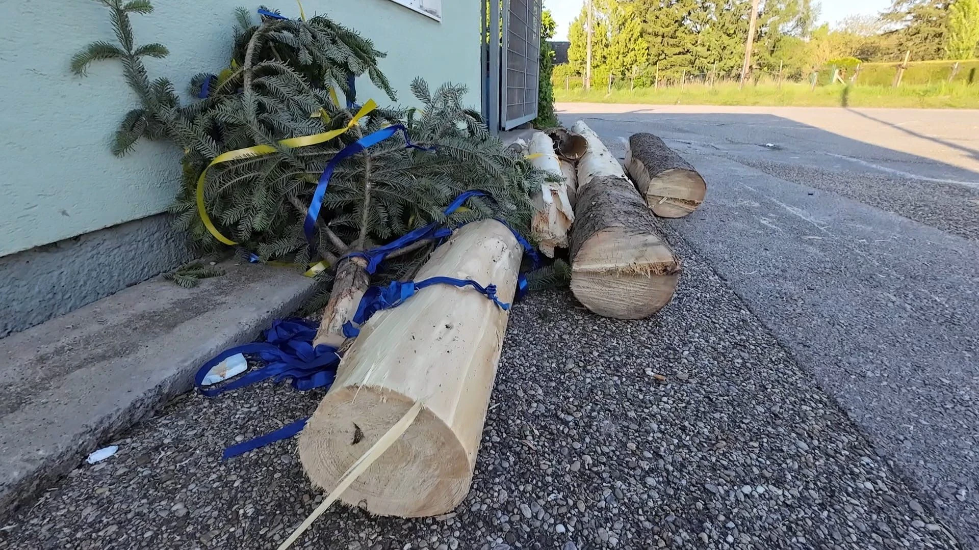 Heute.at - Alko-Duo sägt Maibaum um, schleift Zeugin am Auto mit