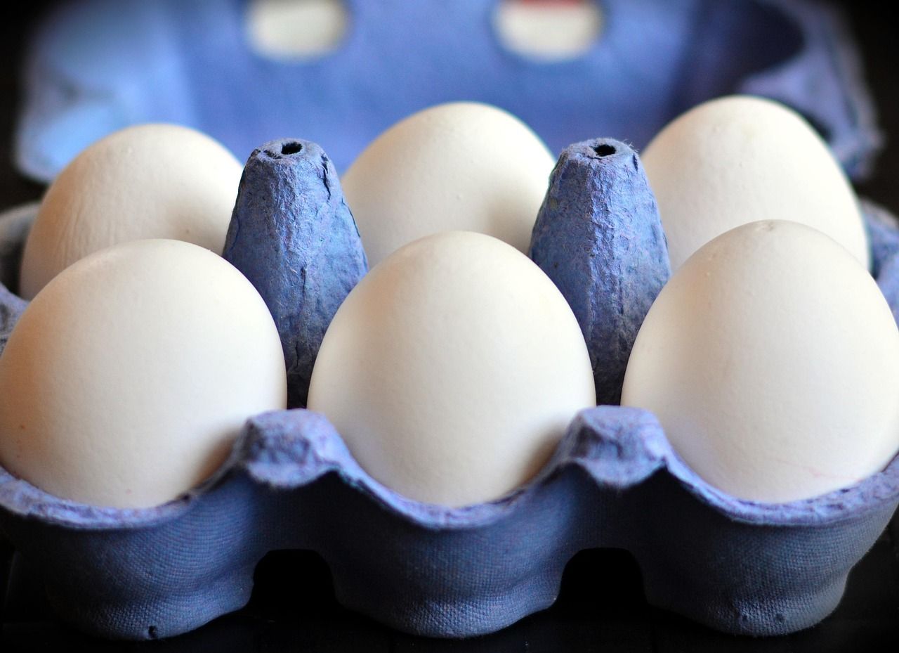 Frische Eier im Eierkarton