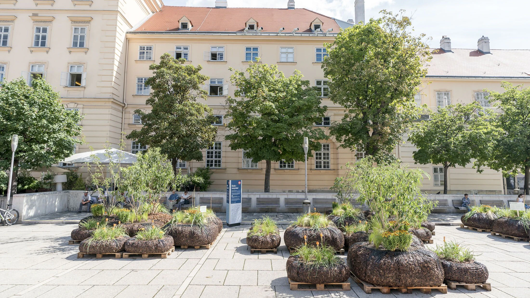 Heute.at - Wien kassiert Millionen mit strengem Baumschutz