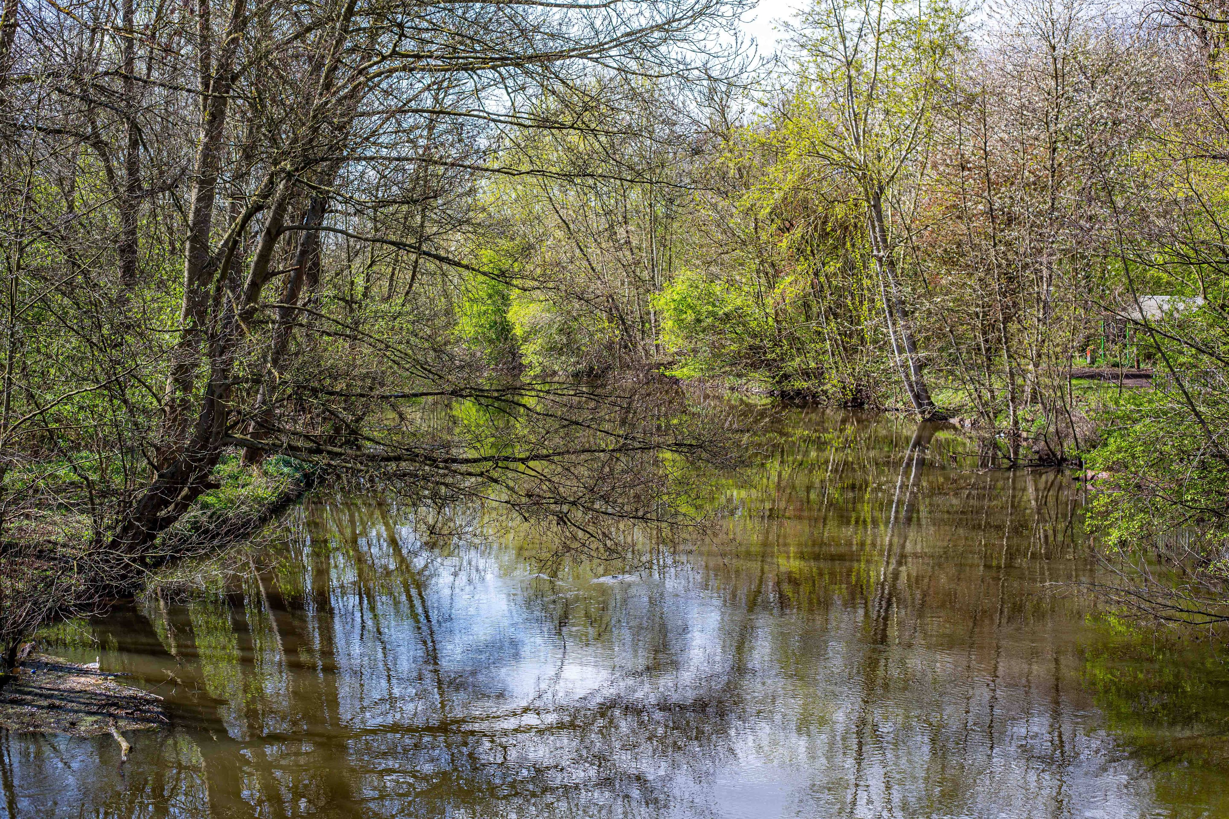 Ein sanft fließender Abschnitt der Erft bei Grevenbroich spiegelt den blauen Frühlingshimmel und das frische Grün der erwachenden Uferbepflanzung wider.