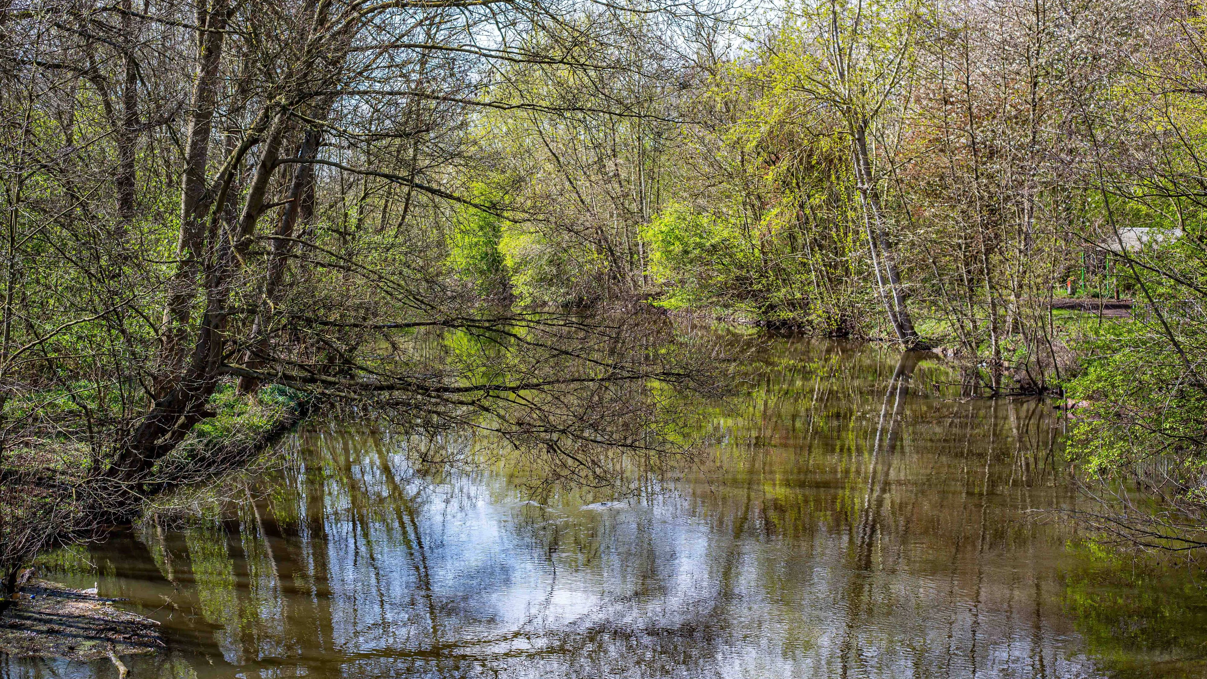 Ein sanft fließender Abschnitt der Erft bei Grevenbroich spiegelt den blauen Frühlingshimmel und das frische Grün der erwachenden Uferbepflanzung wider.