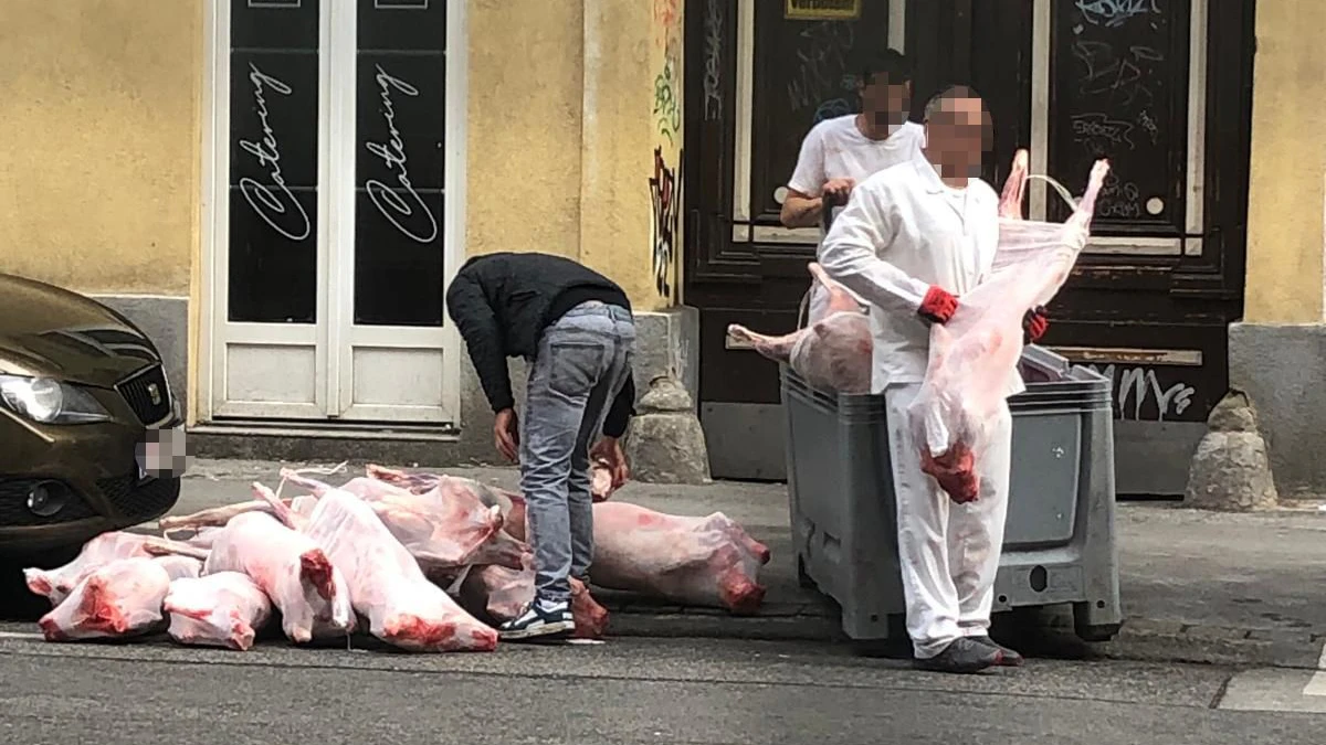Heute.at - Fleischlieferung sorgt für Ekel-Alarm in Wien-Ottakring