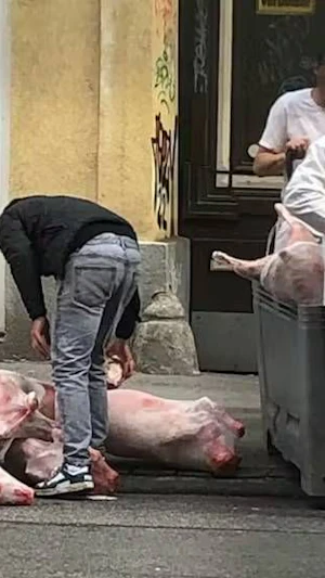 Fleischlieferung Wien Ottakring: Offen gelagertes Fleisch sorgt für Ekel-Alarm am Brunnenmarkt. Anrainer fordern strengere Kontrollen.
