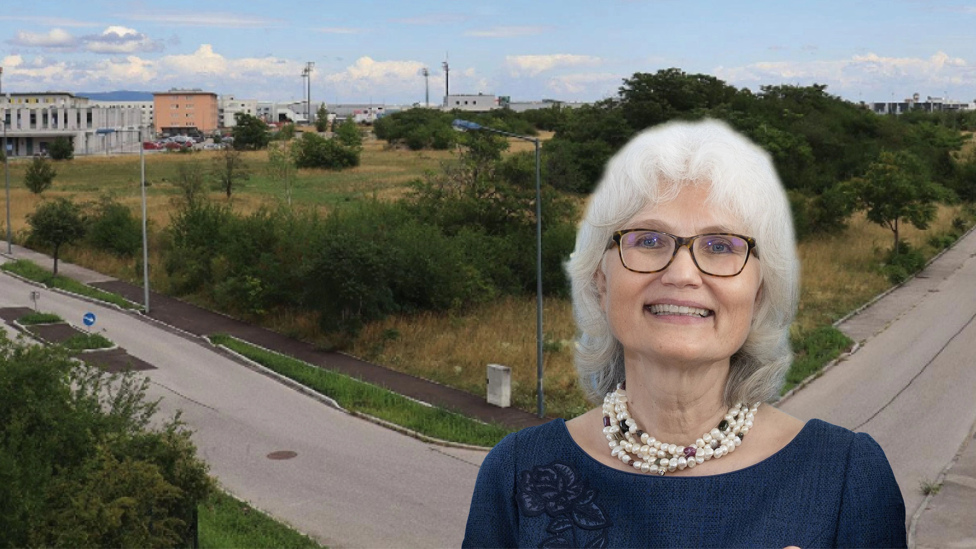 Planungsgebiet: Blickrichtung Norden; Landesrechnungshof-Direktorin Edith Goldeband