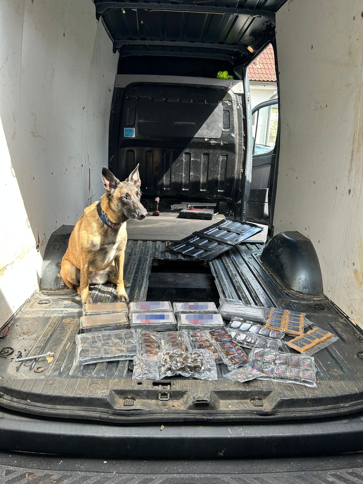 Polizeihund 