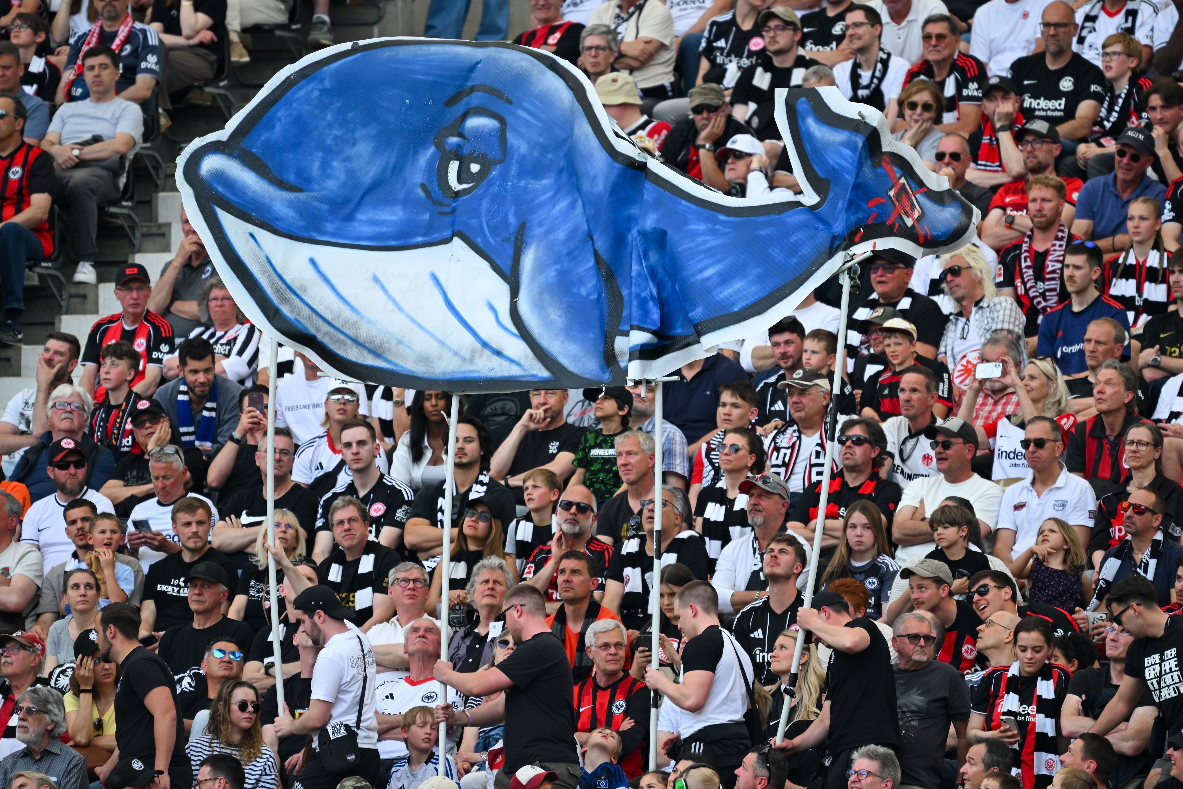 Heute.at - Wal Timmy: So dilettantisch lief Rettung wirklich ab