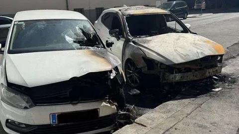 Die Wienerin war auf ihr Auto angewiesen und ist untröstlich.