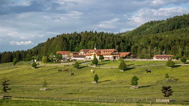 Der Gründerhof von insgesamt 30 Höfen ist in Henndorf am Wallersee. 