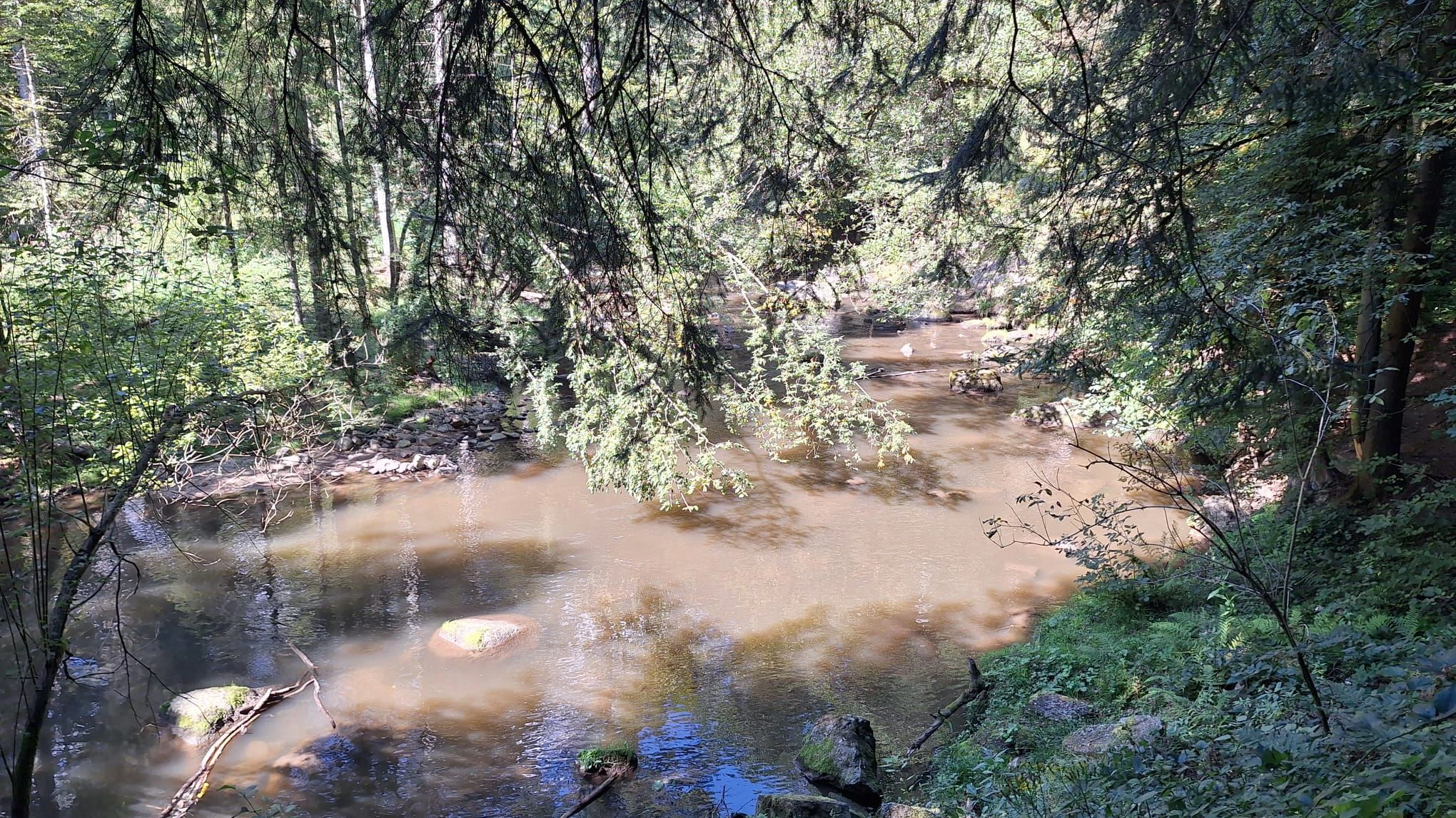 Die Aist ist einer von zehn Flüssen, die Niedrigwasser führen.