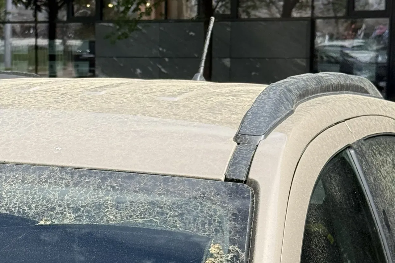 Eine klar sichtbare Pollenschicht bedeckt derzeit Salzburg.