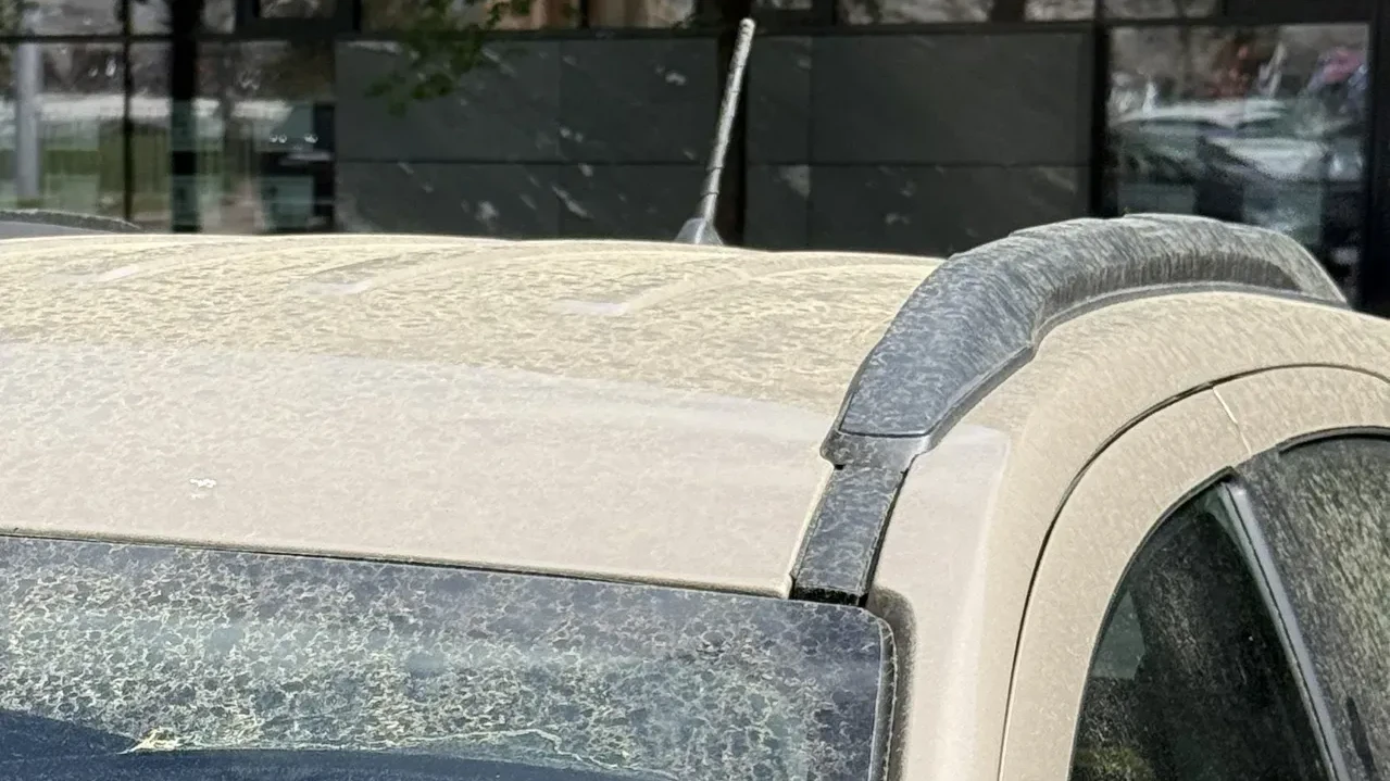 Eine klar sichtbare Pollenschicht bedeckt derzeit Salzburg.