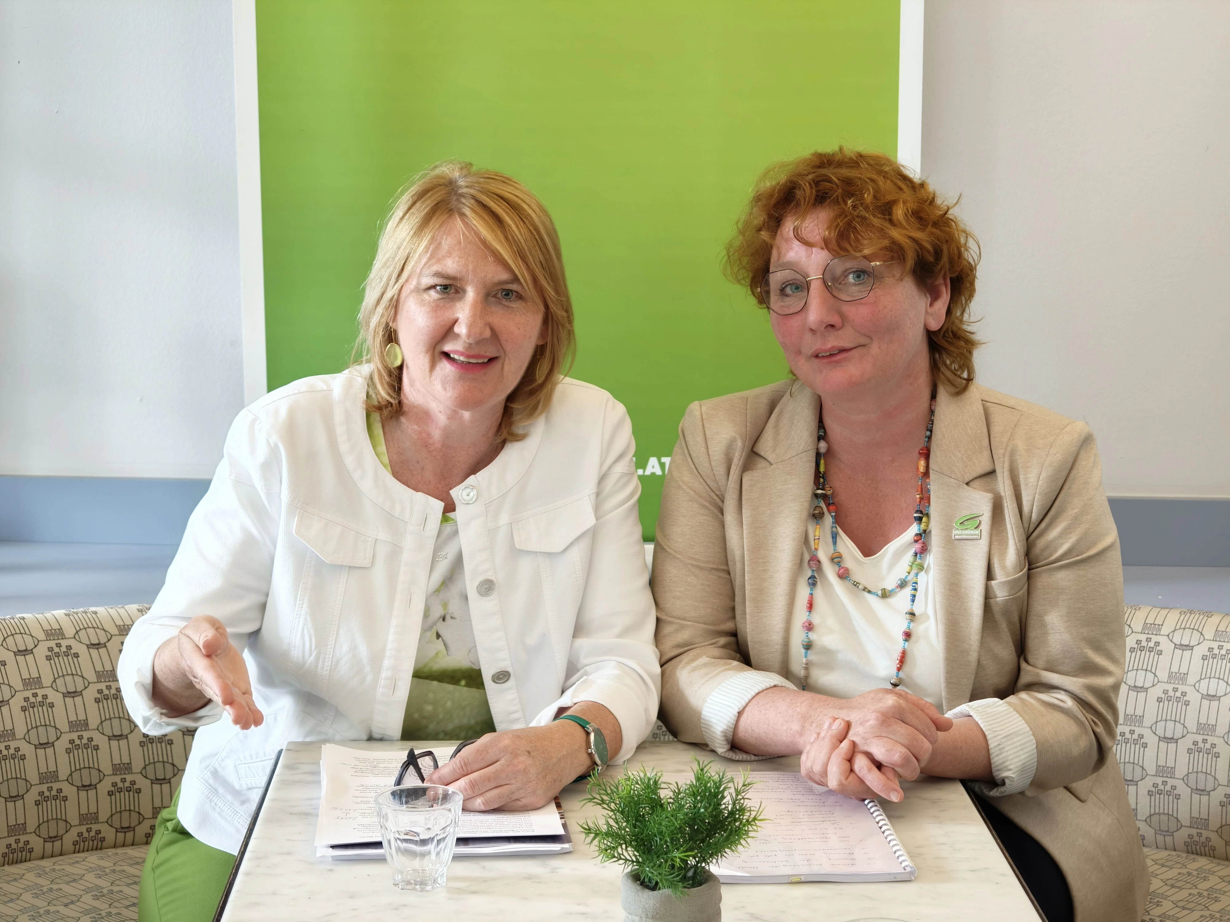 Grüne NÖ: „Spitalskosten Wiener Neustadt außer Kontrolle – ein weiterer Akt im Schwarz-Blau-Roten Gesundheitschaos“