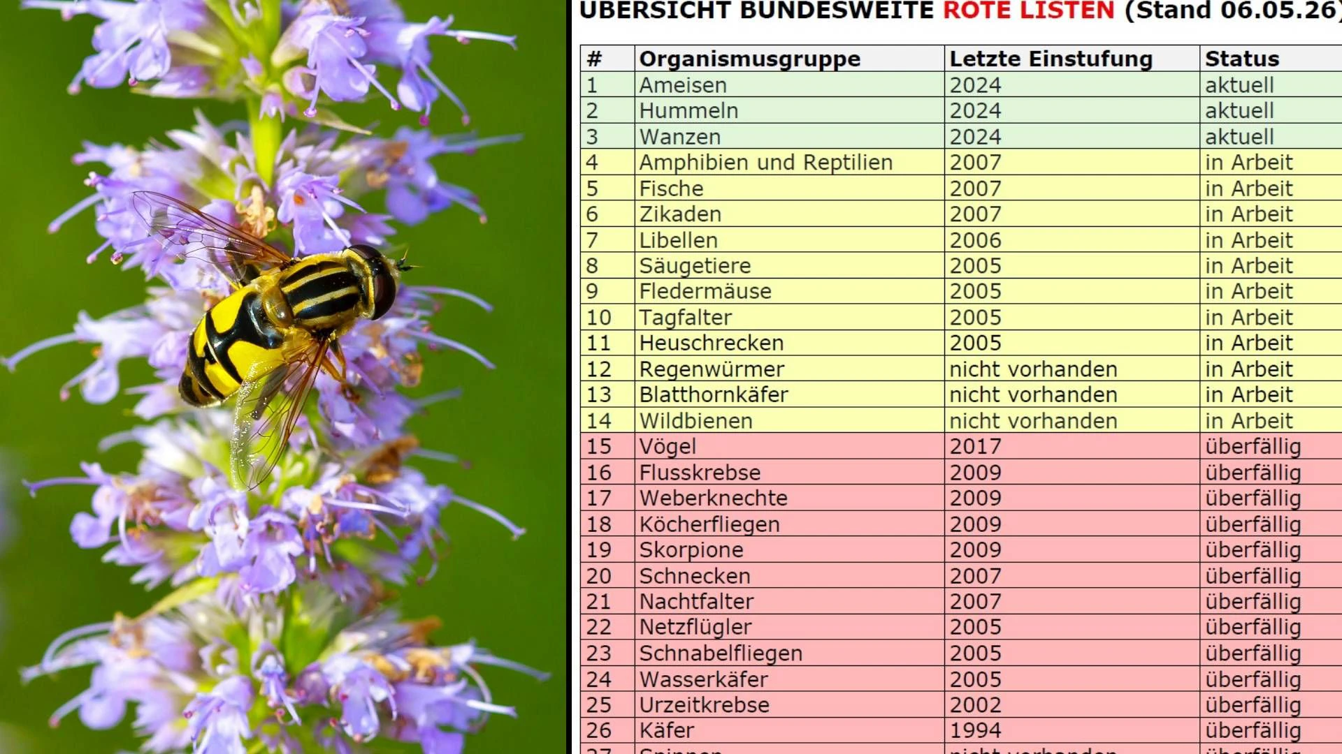 Heute.at - Schlampig! Unsere Rote Liste ist aus 1994