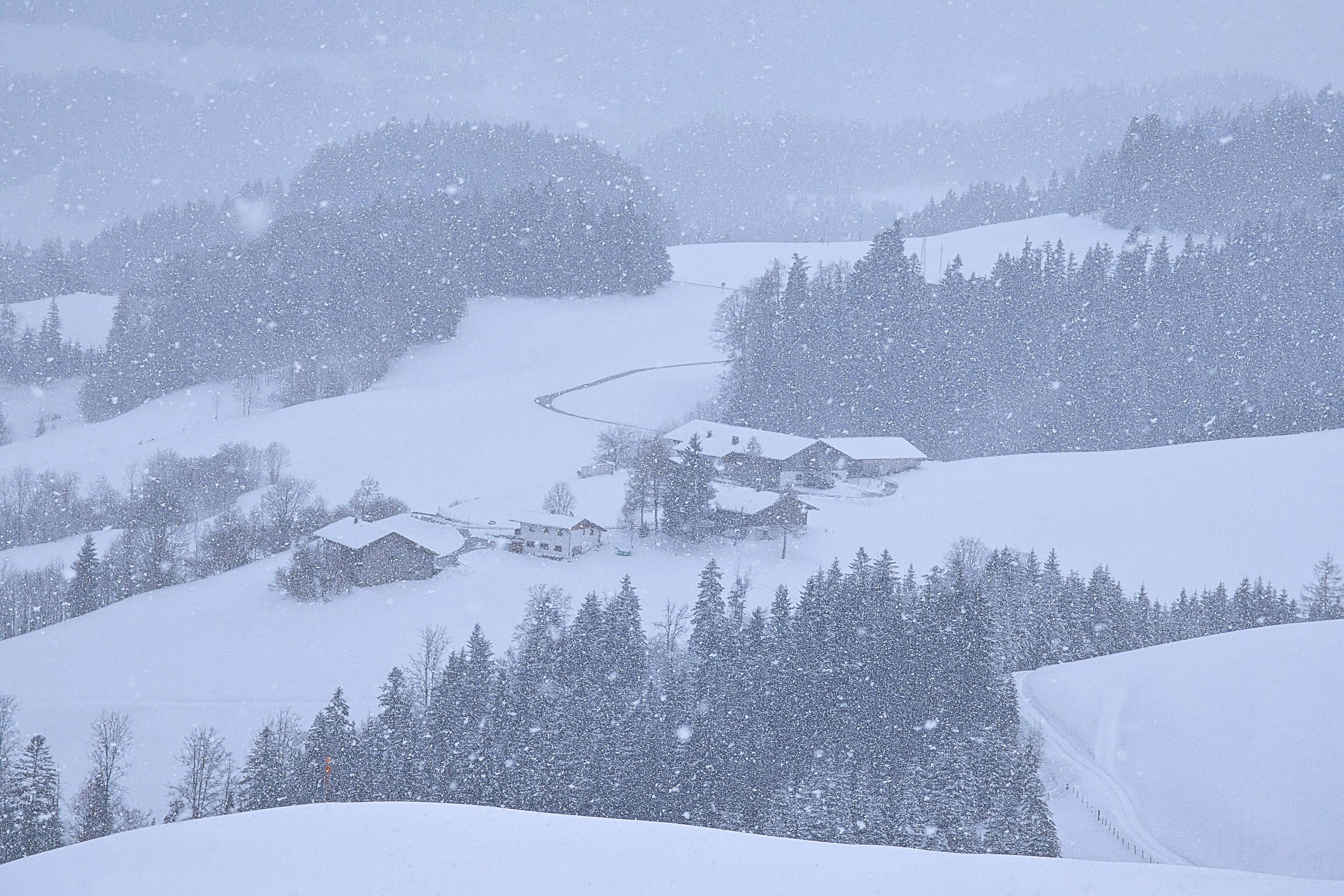 Heute.at - Eisheilige bringen Schnee – hier wird Österreich weiß