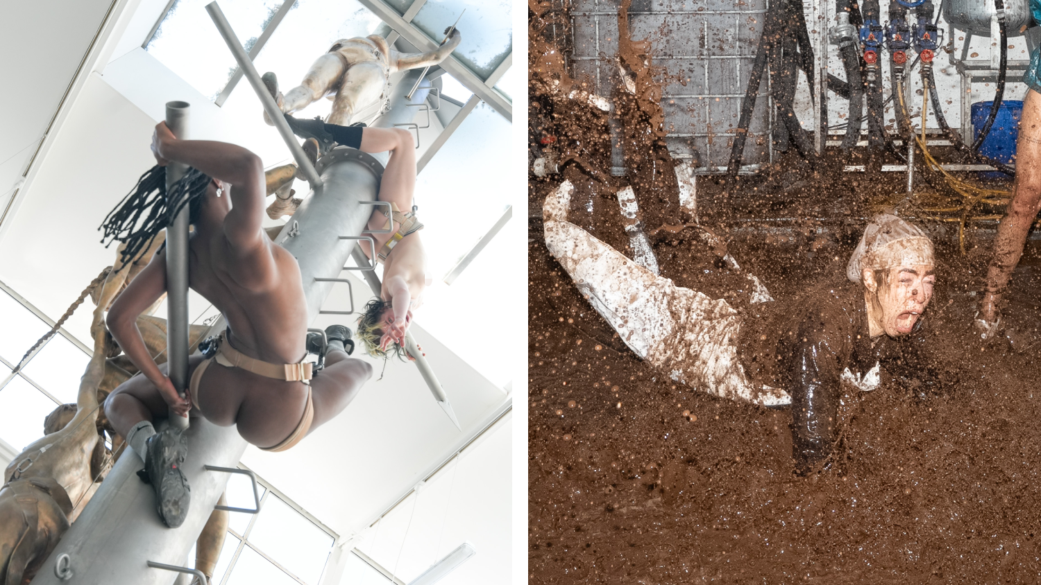 Biennale Florentina Holzinger