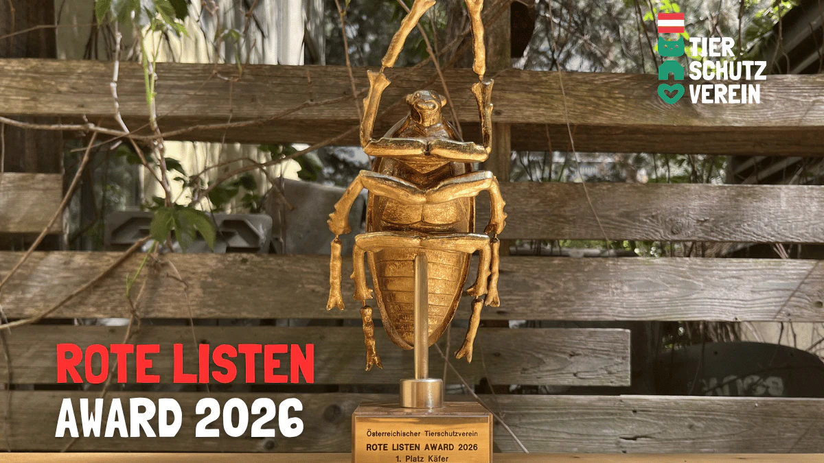 Der Goldene Käfer soll ein mahnendes Symbol sein.