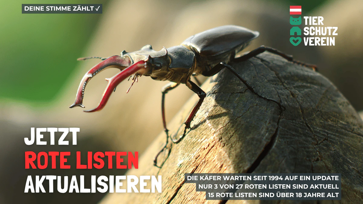 Aber jetzt!