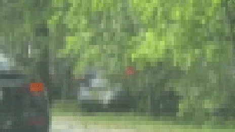 Stau-Chaos in Wien! Autolenker flüchtet über Gebüsch