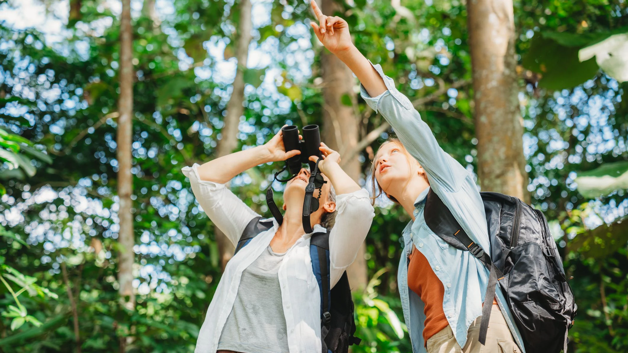 Früher hätte man "Birding" einfach noch "Vogelbeobachtung" genannt. 
