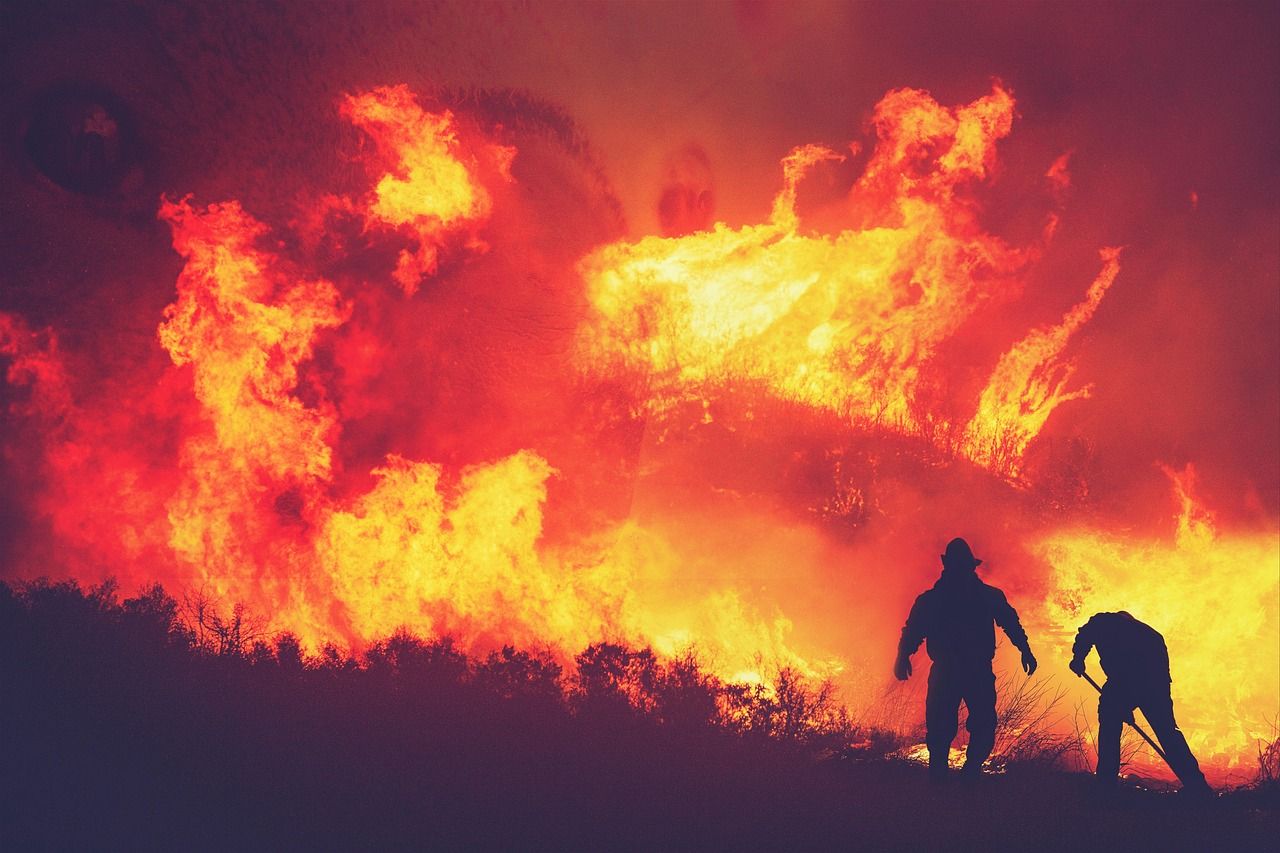 Waldbrand